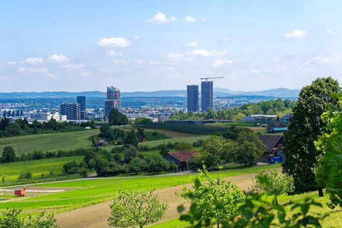 Umzug von Dübendorf nach Österreich