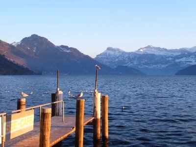 Umzug von Luzern nach Österreich