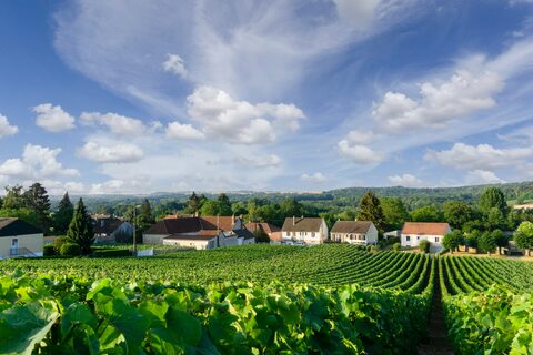 Umzug von Reims nach Österreich