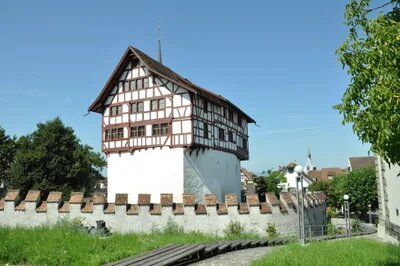 Umzug von Zug nach Österreich